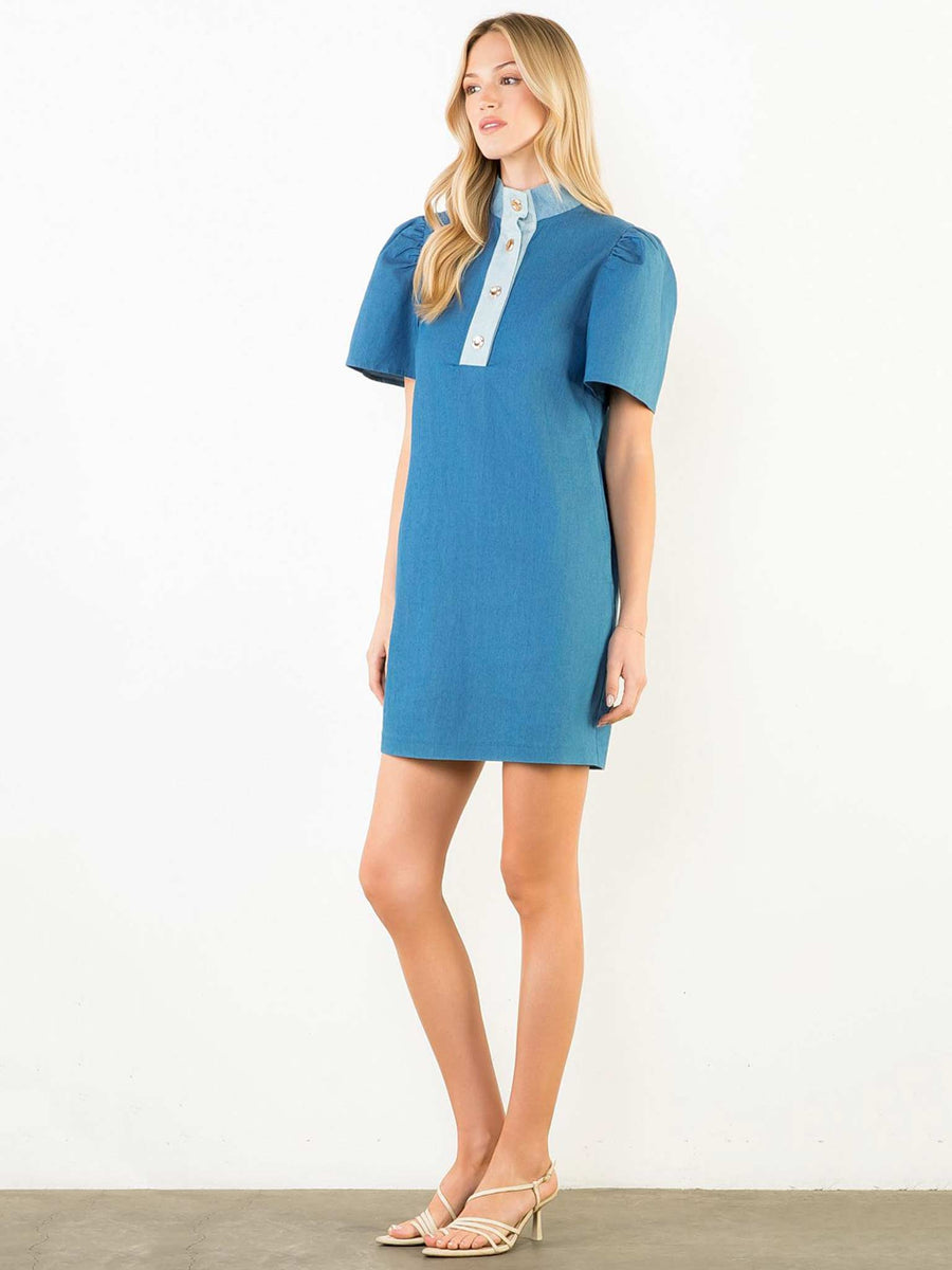 Denim Blues Collared Dress