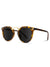 retro round tort sunglasses with gold bridge and black lens